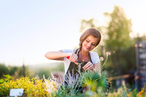 Landscaping Tooting website cookie policy introduction illustration