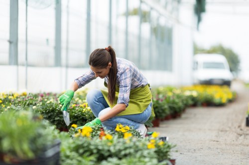 Landscaping issue assessment during a complaint review