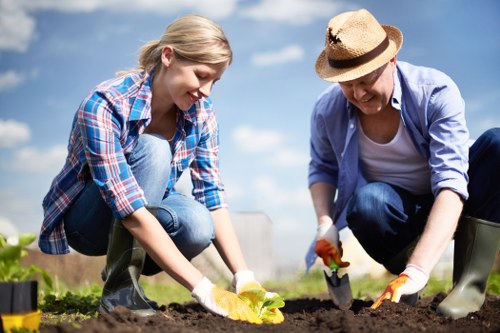 Planting and lawn improvements for a residential property in Tooting