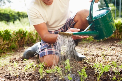 Secure Landscaping Tooting payment page with protected checkout options