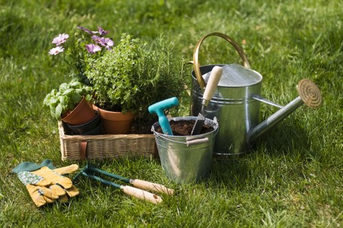 Landscaping team planning a garden transformation in Tooting