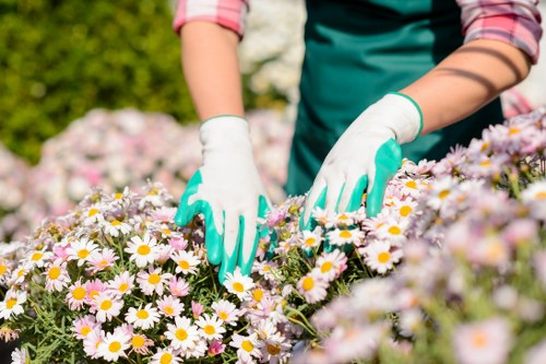 Outdoor landscaping and planting features suitable for Tooting properties