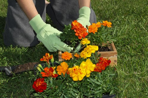 Safe payment options for Landscaping Tooting landscaping services