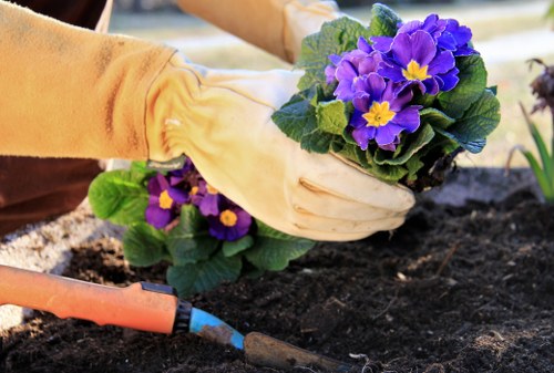 Landscaping safety policy with staff following procedures