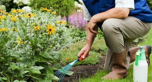 Image symbolising accessibility request support for local landscaping users
