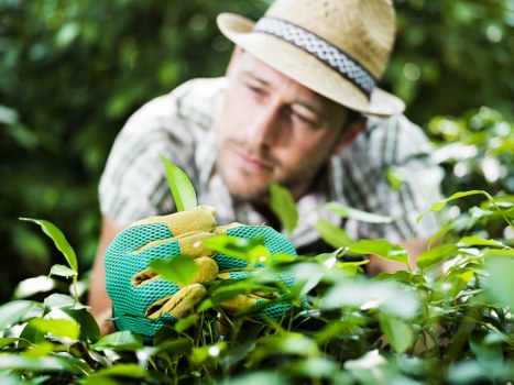 Professional landscaping team working safely in a residential garden