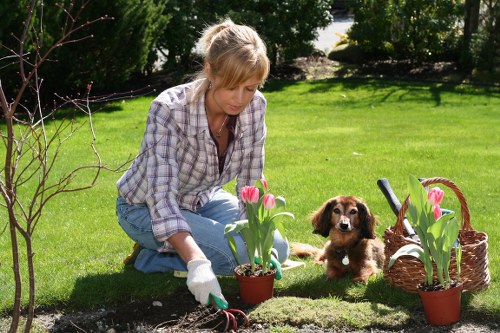 Local hard landscaping services including paths, walls, and edging in Tooting